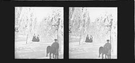 Grove scenery. Winter at Niagara Falls
