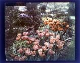 [Garden at Warner Castle, Rochester NY]