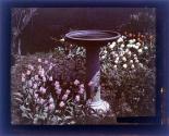[Garden with birdbath at Warner Castle, Rochester NY]