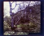 [View of Warner Castle, Rochester NY]