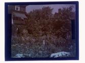 Motley Garden
