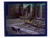 [View of garden and house]