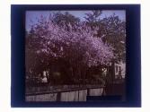 Meigs St