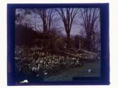 Mt. Hope Cemetery