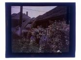 Dorothy Perkins Lloyd