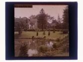 Willow Pond in Spring
