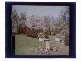 Willow Pond