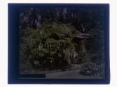 [View of garden and house]