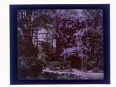 [Garden view]