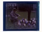 [Man looking at flowers]