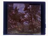 [View of garden and house]