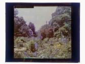 [View of garden and house]