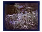 [View of garden and house]