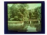 Willow Pond GA-47
