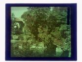 Willow Pond GA-47