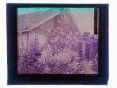 [View of house and garden]