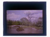 [View of park and water]