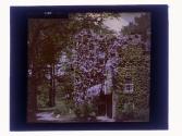 [Warner Castle, Rochester New York]