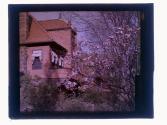 [View of house and flowers]
