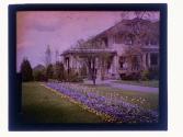 [View of house and flowers]
