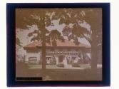 [View of house and tree]
