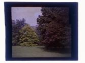 Genesee Valley Club