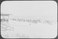 Block Island - 1909
