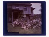 [Side of house, garden at 5 Highland Heights, Rochester NY]