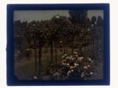 [Garden view]