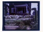 [View of house and garden]
