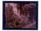 [View of house and garden]