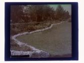 [View of house and garden]