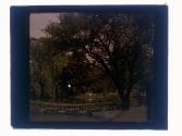 [Park view with water]