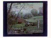 [Landscape]