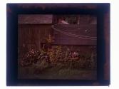 [Horse in barn]