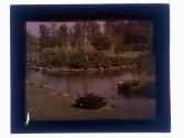 Willow Pond GA-47