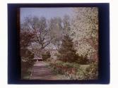 Willow Pond Back Yard GA-47