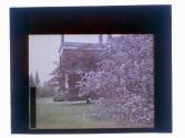 [House and blooming trees]