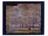 [Trees]