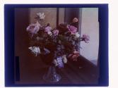 [Prize flowers]