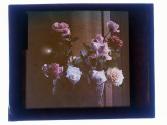 [Cut flowers]