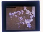 [Prize flowers]