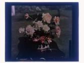 1925 Roses Cut