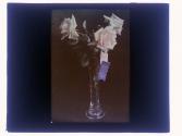 [Prize flowers]