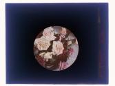 Roses Cut Rochester