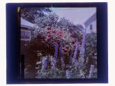 [Garden view]
