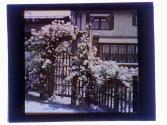 [Garden view]