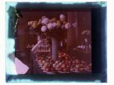[Apples and flowers]