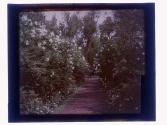 Eastman Garden