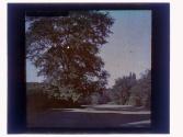 Garden Eastman